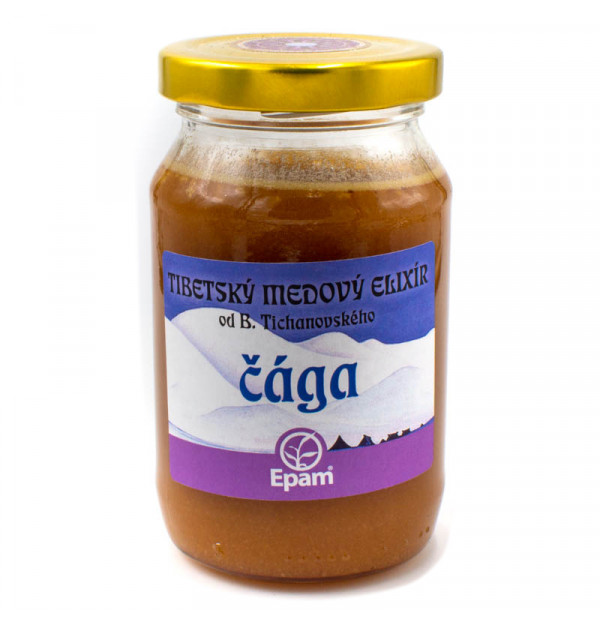 Chaga Mushroom - Epam Honey Potion 300 g