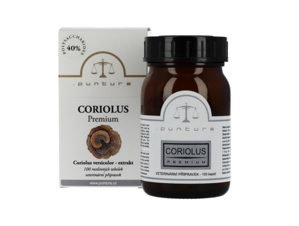 Coriolus versicolor