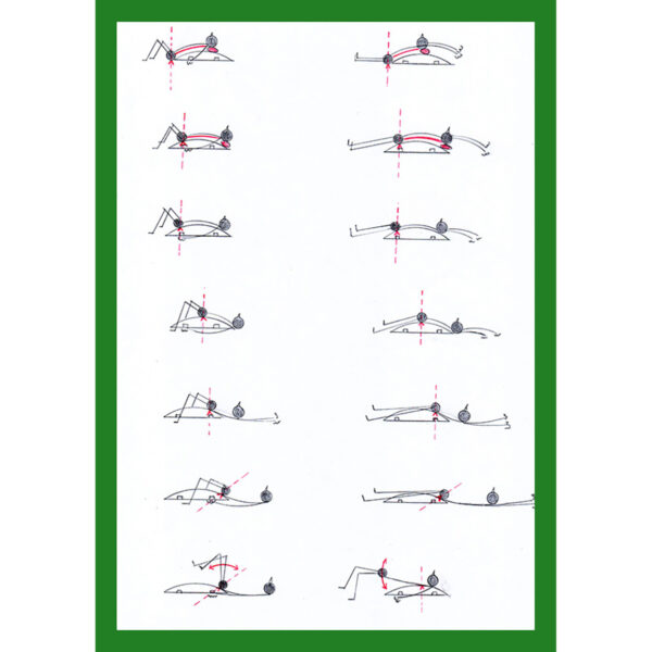 Massage trainer HEDGEHOG - Image 3