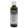 Dickblatt-Bergenie - Tinktur Epam 50ml