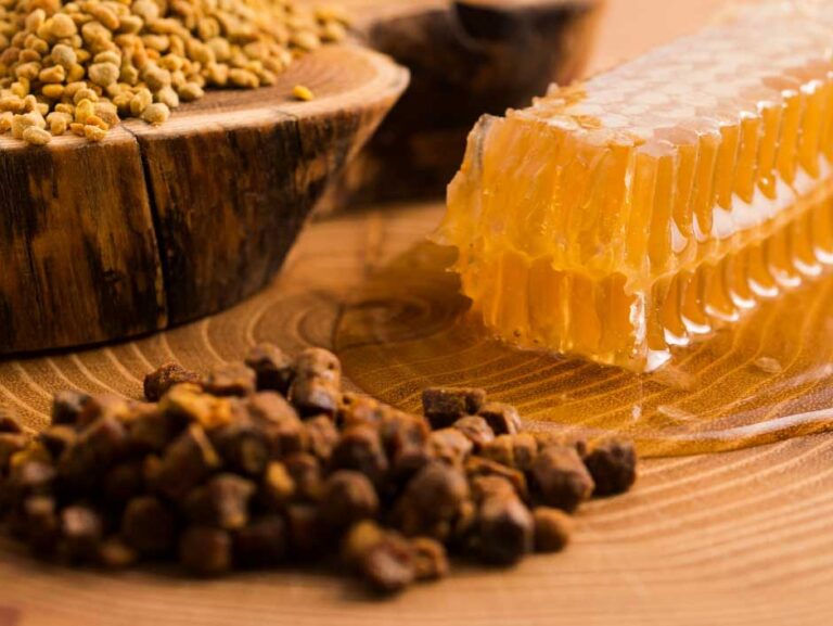 Propolis: dar včel, který může pomoci i nám