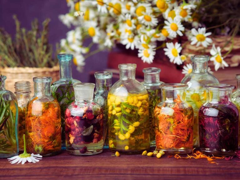 Tinktury: kapky plné přírody