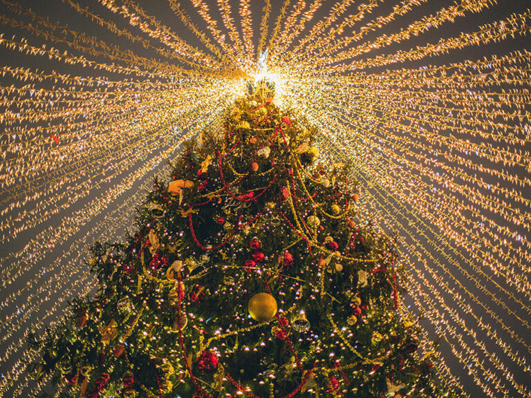 Vůně jehličí, síla bylin a srdce na dlani