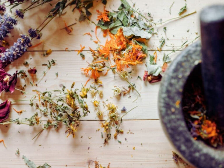 Tohle jsou vaši hrdinové roku 2025. Máte je v&nbsp;lékárničce?