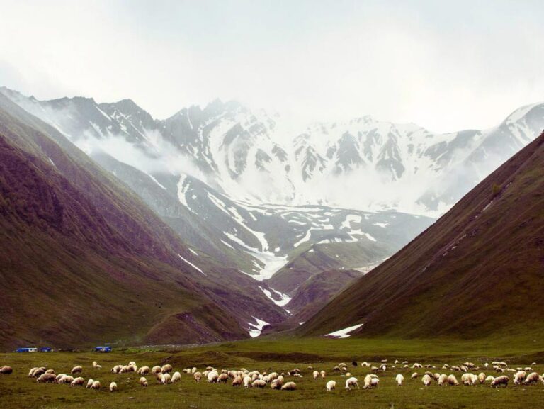 Mumio: „černé zlato“ z&nbsp;hor